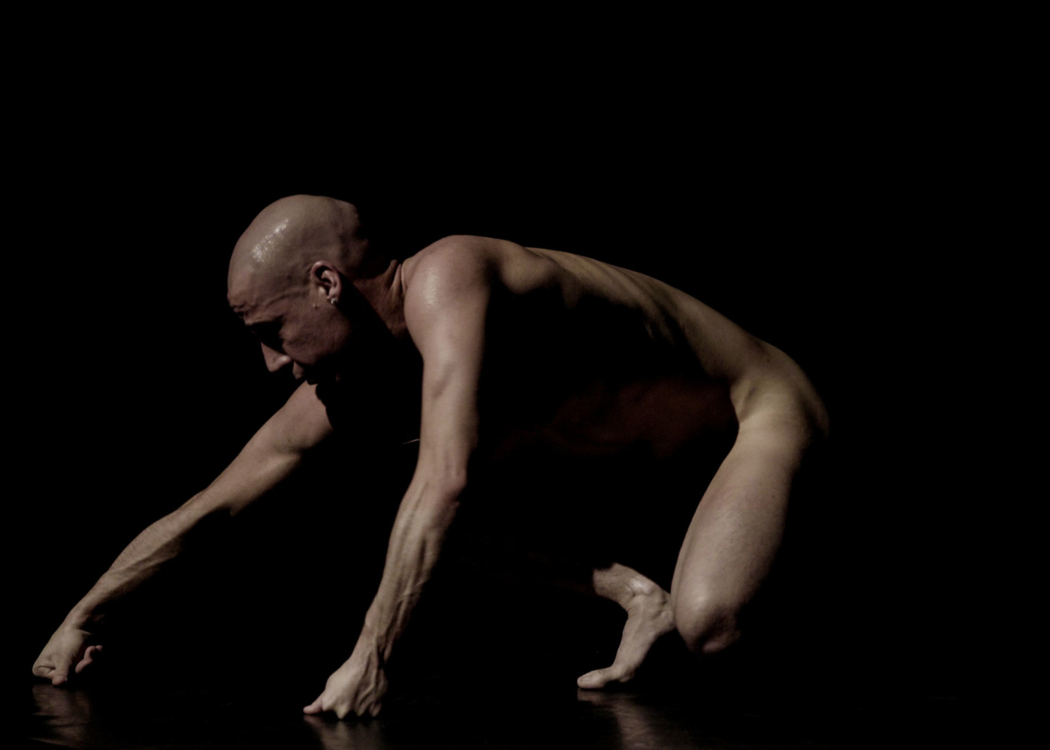 Daniel Mariblanca i «71 bodies 1 dance».