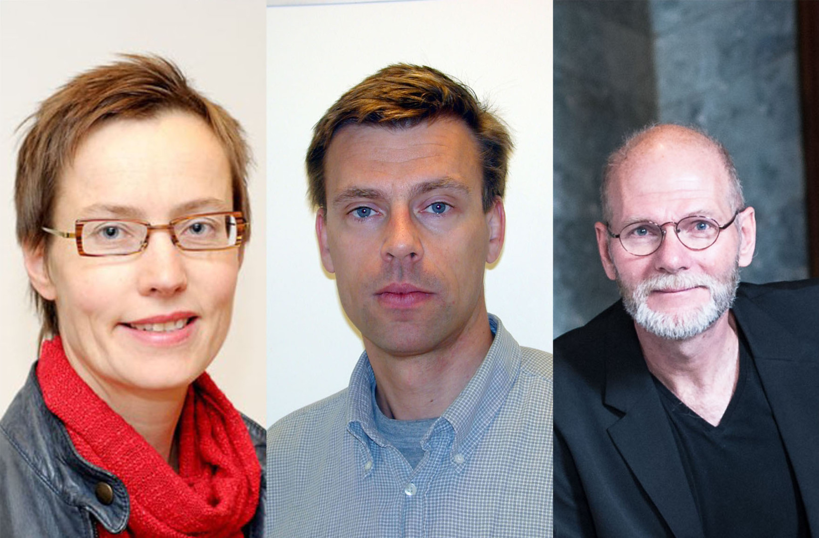Forskerne: Beate Elstad, Erik Døving og Dag Jansson.