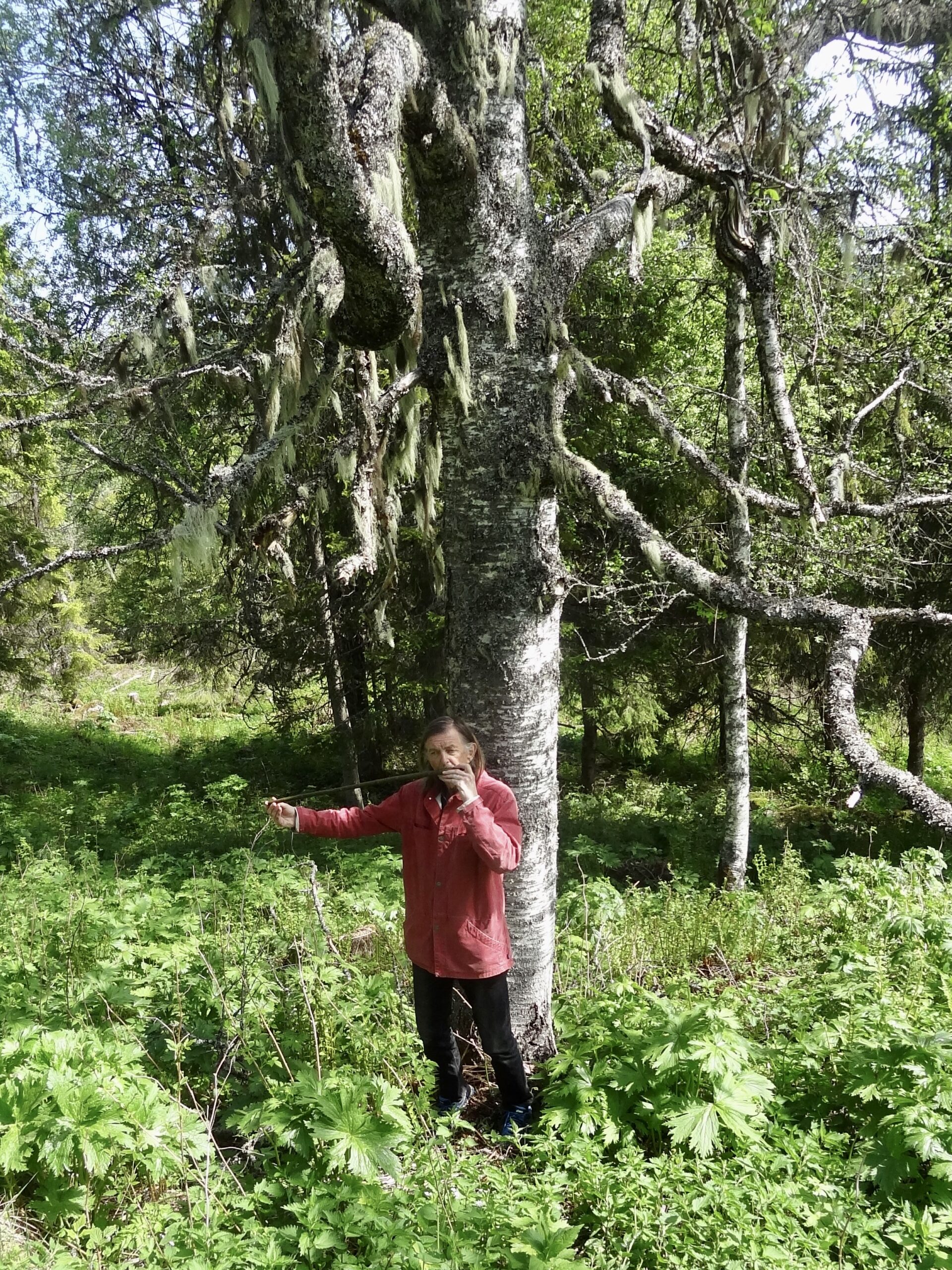 Hans Fredrik Jacobsen i skogen