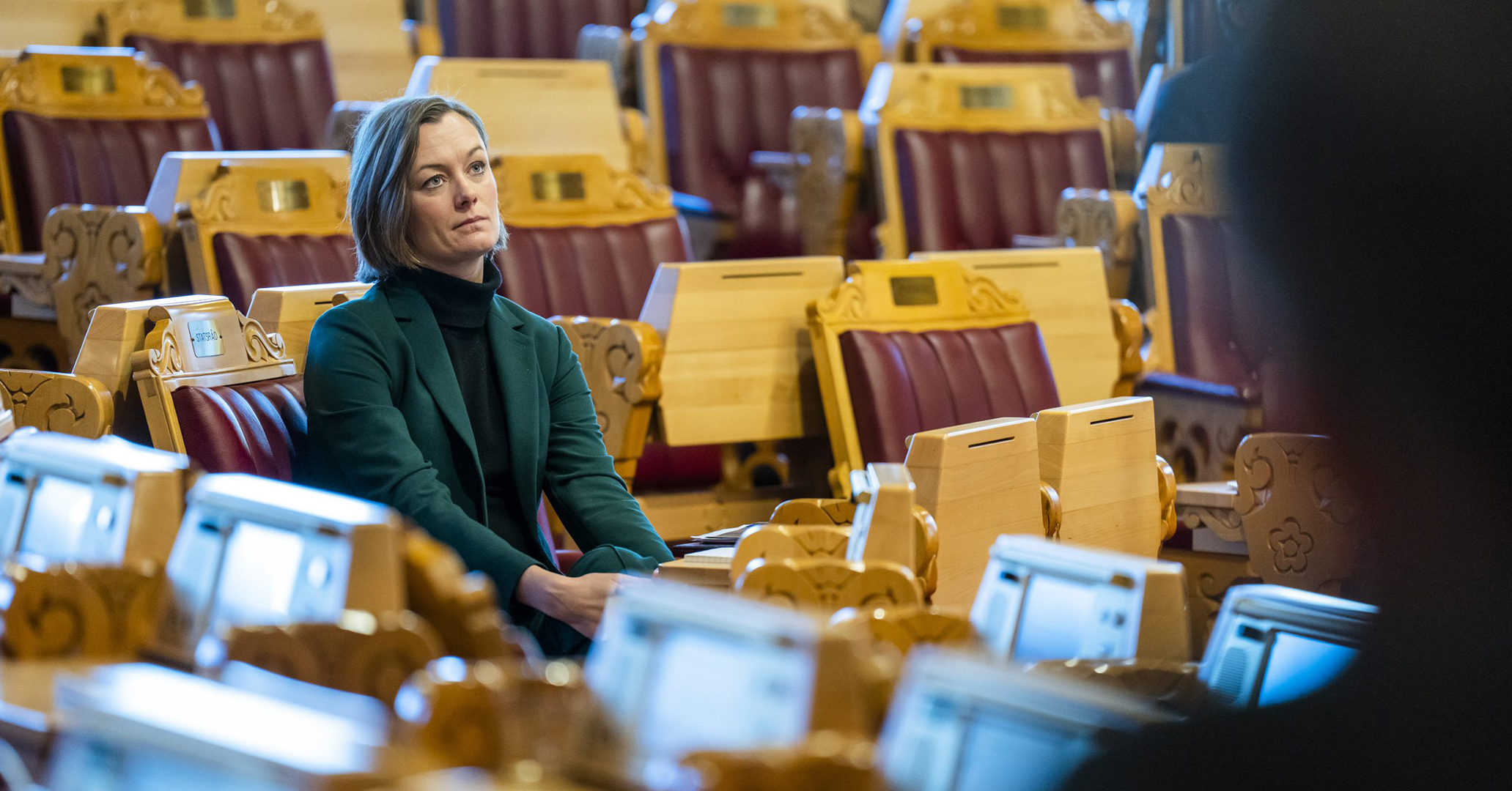 Anette Trettebergstuen i stortinget